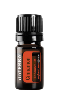 Cinnamon Bark (Zimtrinde) Cinnamomum zeylanicum  5 ml. Flasche